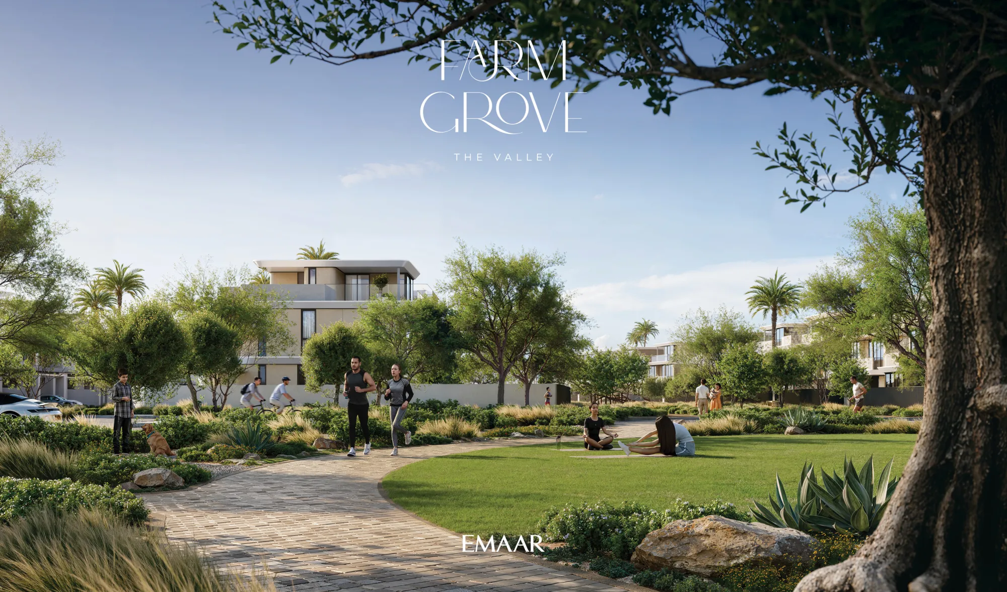 Farm Grove